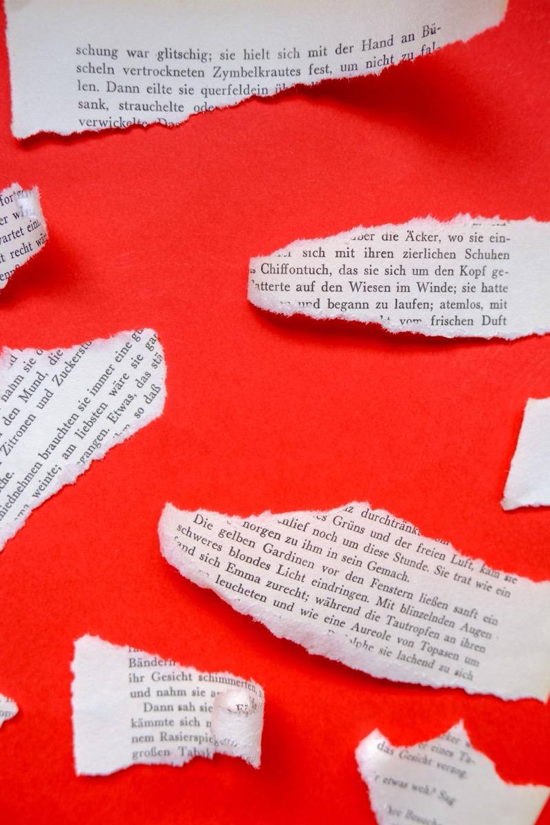 Querido autor, no escribes libros