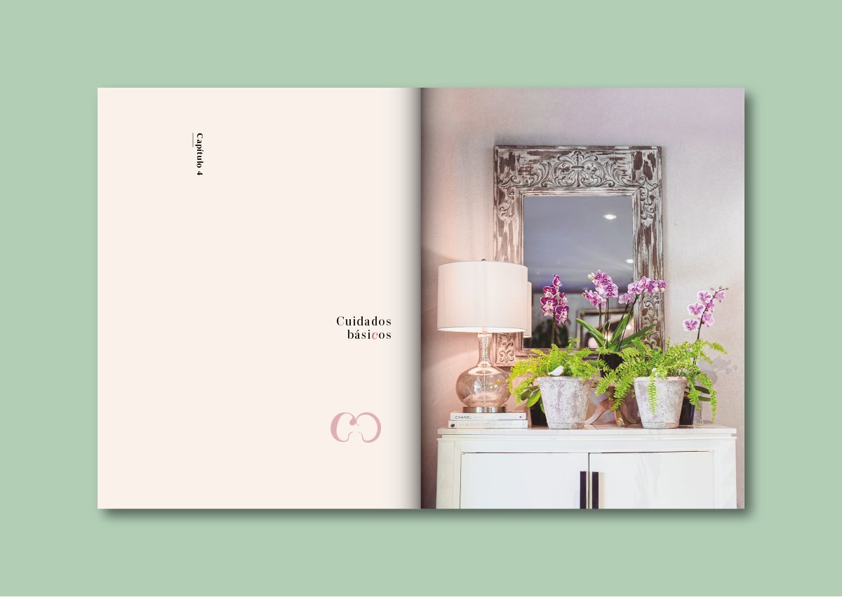 El Arte de Cuidar Orquídeas 4